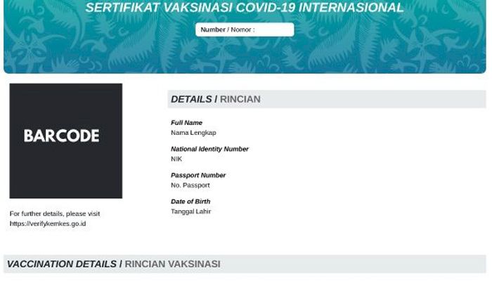 Kemenkes Terbitkan Sertifikat Vaksin Internasional Standar WHO, Begini Cara Downloadnya